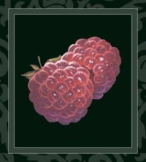 Raspberry wine